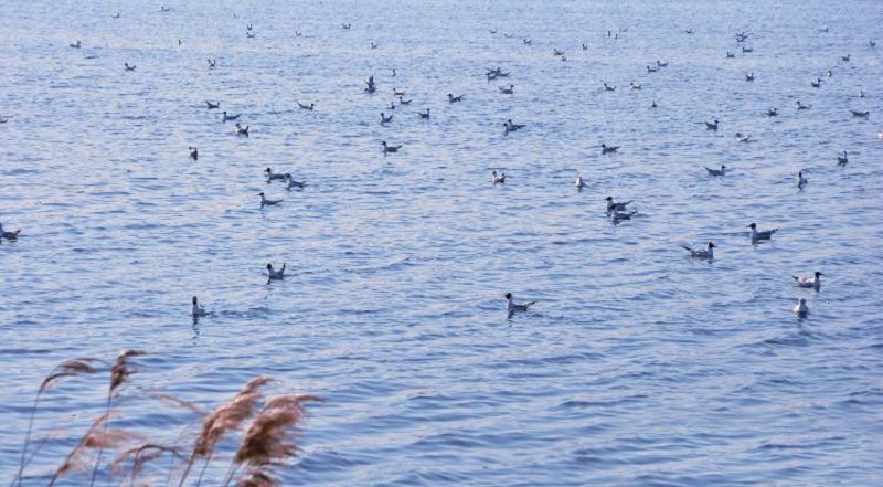 指紋鎖生產(chǎn)廠(chǎng)家 指紋鎖生產(chǎn)廠(chǎng)家