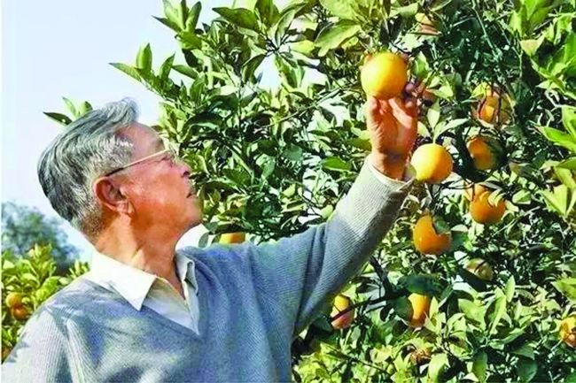 褚時(shí)健 褚時(shí)健