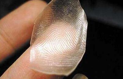 指紋 指紋
