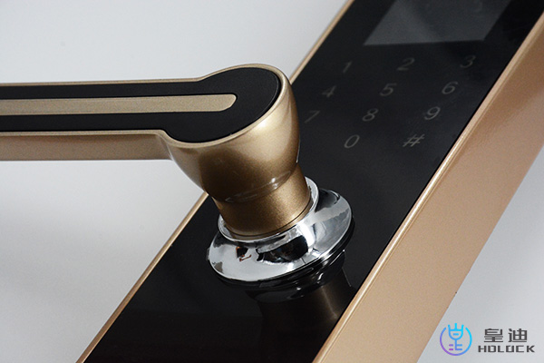 智能鎖廠家 智能鎖廠家