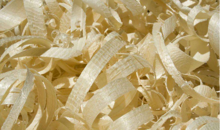 指紋鎖廠家 指紋鎖廠家